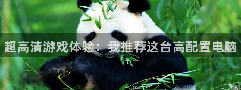 杏运体育app下载安装