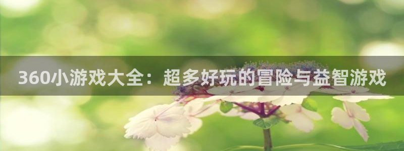 杏运体育官方网址：360小游戏大全：超多好玩的冒险与益智游戏