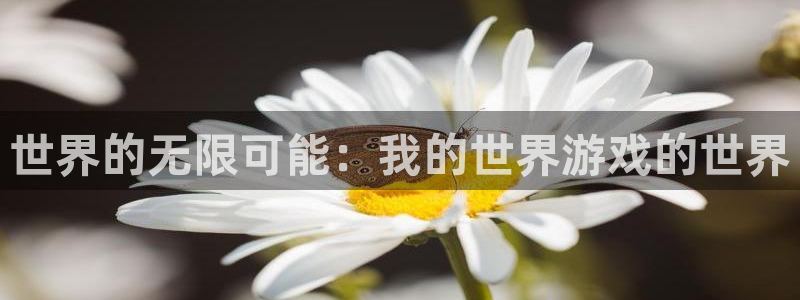 杏运娱乐