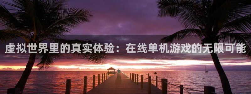 杏运注册平台：虚拟世界里的真实体验：在线单机游戏的无限可能
