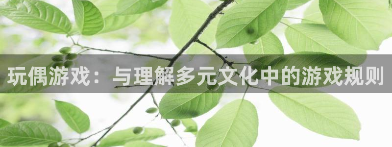 杏运娱乐注册：玩偶游戏：与理解多元文化中的游戏规则