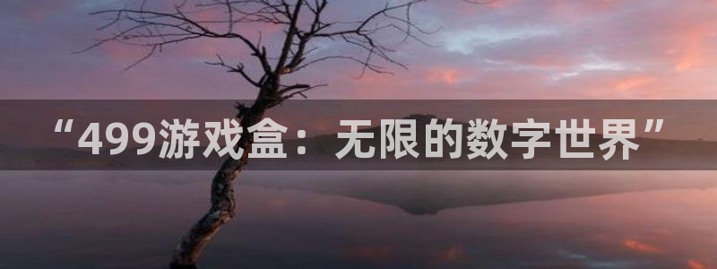 杏运体育官方网址：“499游戏盒：无限的数字世界”